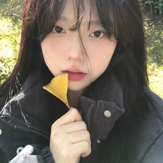 北越归来