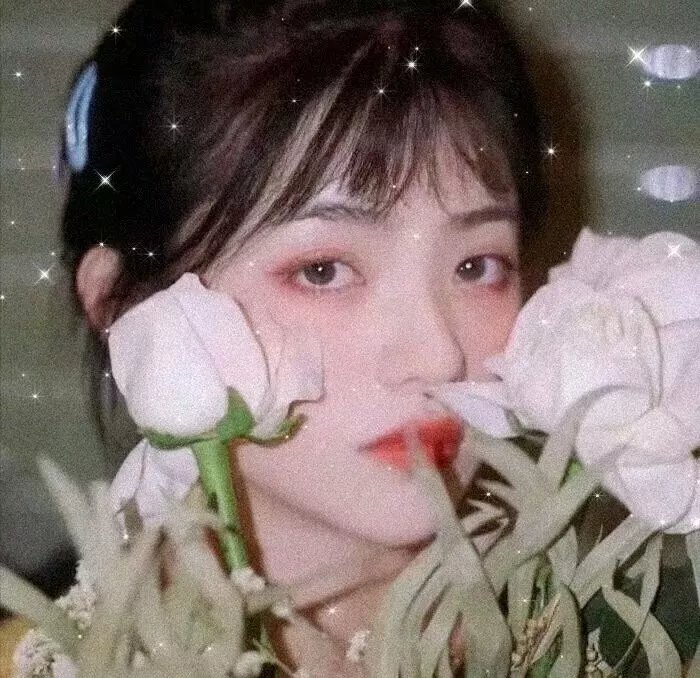 青春换日线
